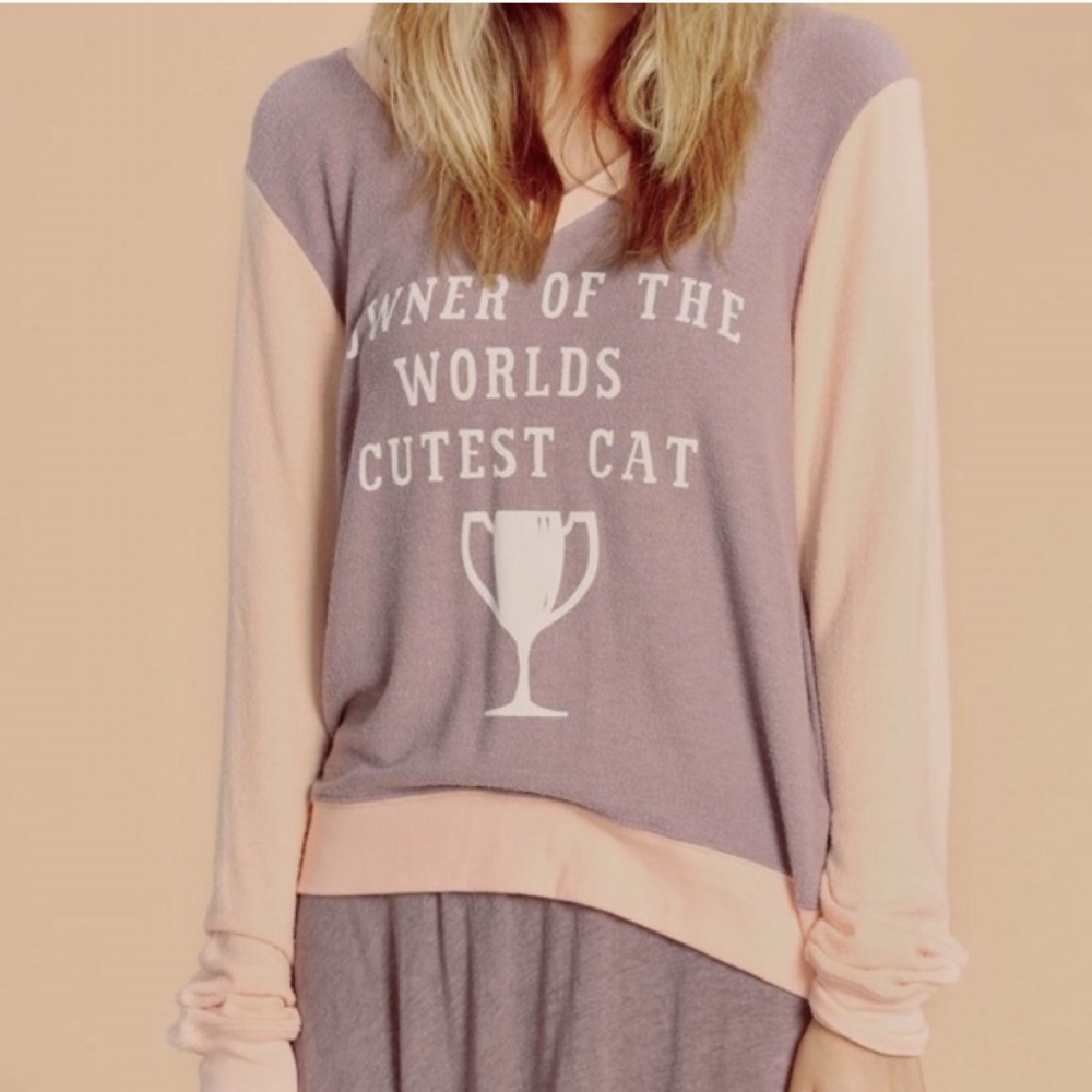 ISO cutest cat wildfox shirt